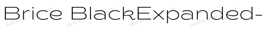 Brice BlackExpanded字体转换